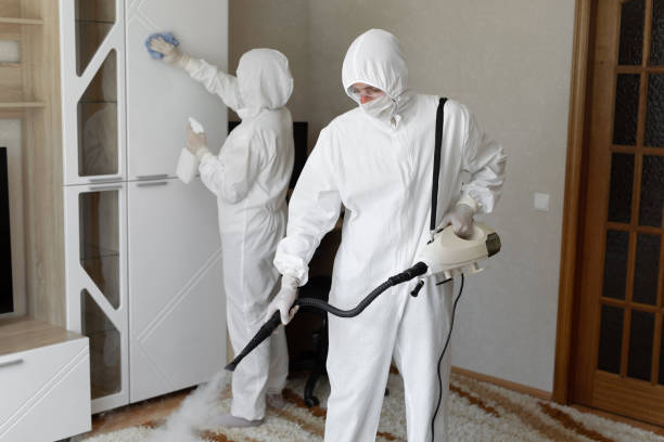 Best Mold Testing  in Mendon, IL